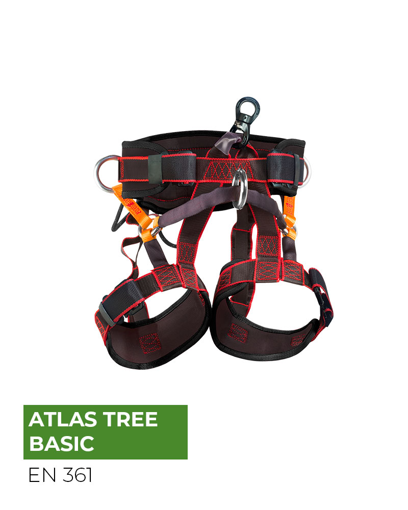 ARNES ATLAS TREE BASIC